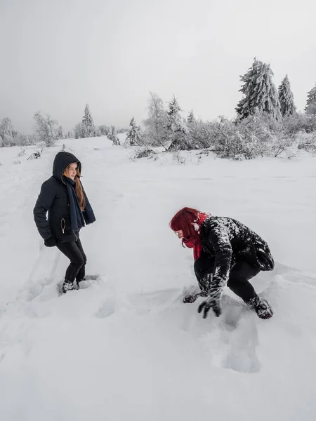 Δύο Κορίτσια Αδελφές Παίζουν Ένα Σκύλο Κόργκι Ένα Χιονισμένο Χωράφι — Φωτογραφία Αρχείου