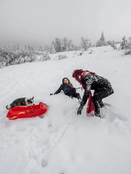 Dos Chicas Hermanas Juegan Con Perro Corgi Campo Nevado Las —  Fotos de Stock