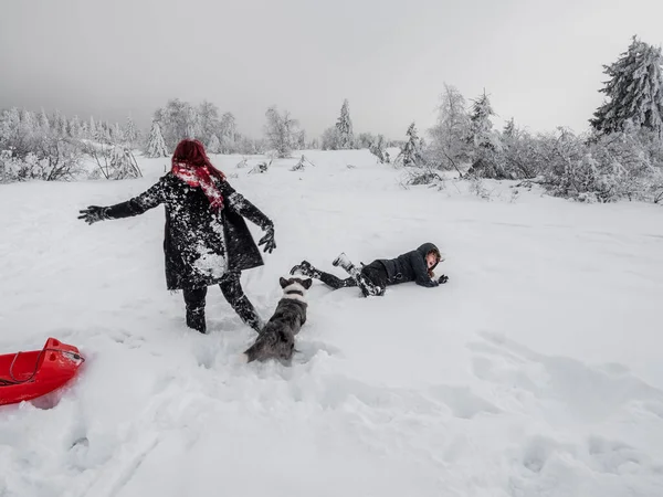 Två Flickor Systrar Leker Med Korv Ett Snöfält Bergen Ungdom — Stockfoto