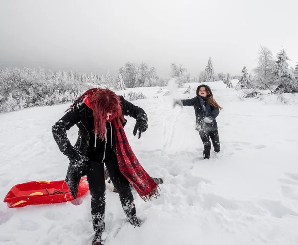 Två Flickor Systrar Leker Med Korv Ett Snöfält Bergen Ungdom — Stockfoto