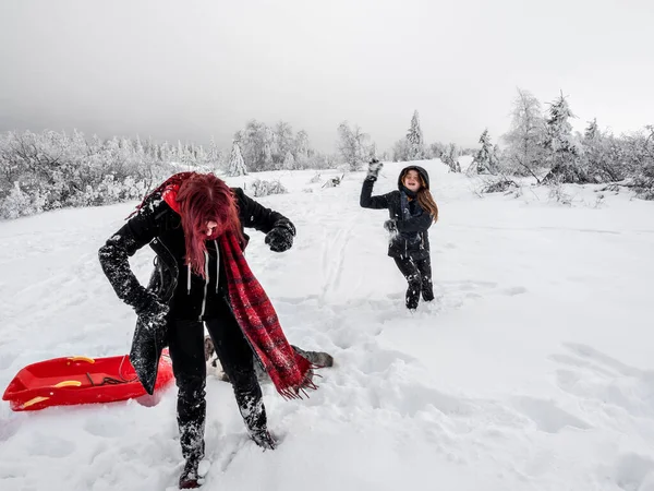 İki kız kardeş, dağlarda karlı bir tarlada Corgi köpeğiyle oynuyorlar. Gençlik, neşe ve tazelik. Yaşamın enerjisi.