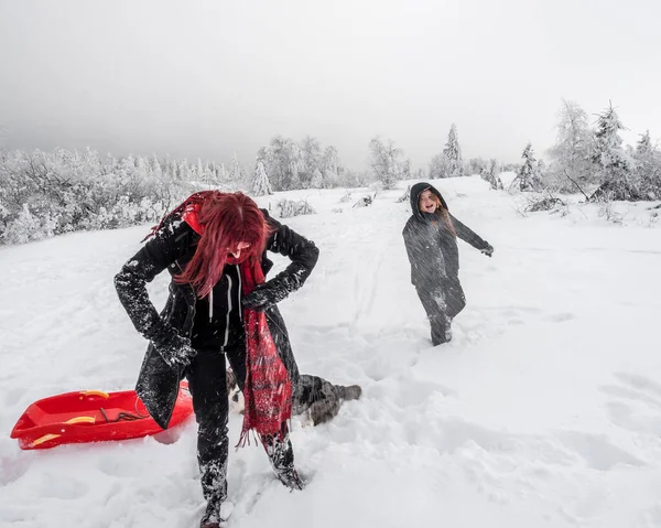 İki kız kardeş, dağlarda karlı bir tarlada Corgi köpeğiyle oynuyorlar. Gençlik, neşe ve tazelik. Yaşamın enerjisi.