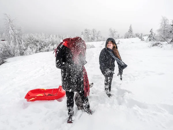 İki kız kardeş, dağlarda karlı bir tarlada Corgi köpeğiyle oynuyorlar. Gençlik, neşe ve tazelik. Yaşamın enerjisi.
