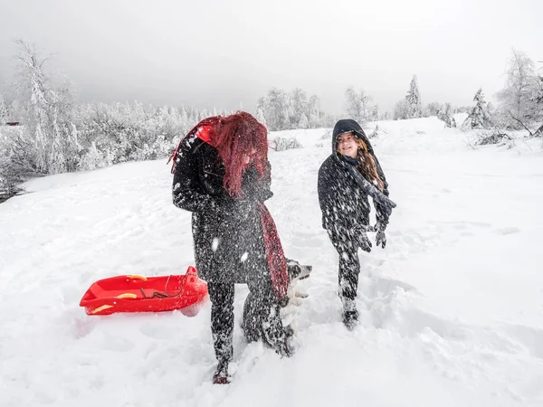 İki kız kardeş, dağlarda karlı bir tarlada Corgi köpeğiyle oynuyorlar. Gençlik, neşe ve tazelik. Yaşamın enerjisi.