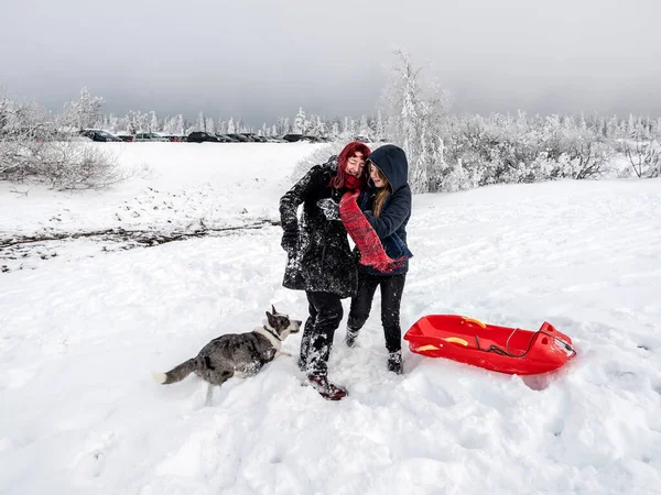 Två Flickor Systrar Leker Med Korv Ett Snöfält Bergen Ungdom — Stockfoto