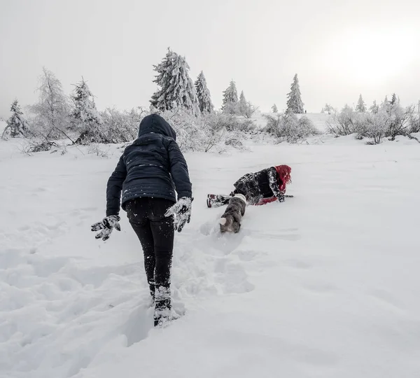 İki kız kardeş, dağlarda karlı bir tarlada Corgi köpeğiyle oynuyorlar. Gençlik, neşe ve tazelik. Yaşamın enerjisi.