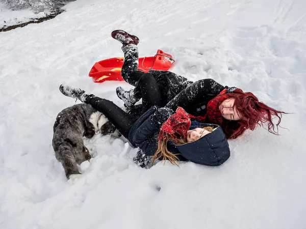İki kız kardeş, dağlarda karlı bir tarlada Corgi köpeğiyle oynuyorlar. Gençlik, neşe ve tazelik. Yaşamın enerjisi.