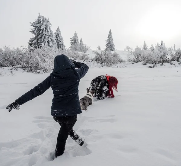 Two Girls Sisters Play Corgi Dog Snowy Field Mountains Youth — Stock Photo, Image