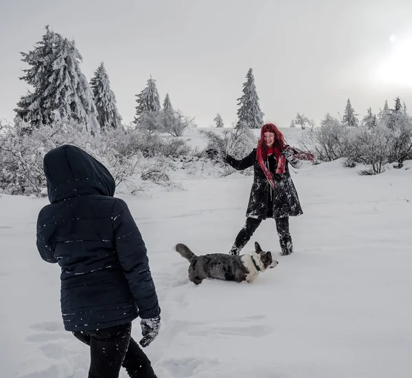 İki kız kardeş, dağlarda karlı bir tarlada Corgi köpeğiyle oynuyorlar. Gençlik, neşe ve tazelik. Yaşamın enerjisi.
