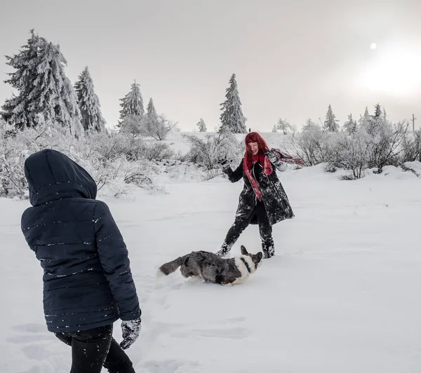 İki kız kardeş, dağlarda karlı bir tarlada Corgi köpeğiyle oynuyorlar. Gençlik, neşe ve tazelik. Yaşamın enerjisi.
