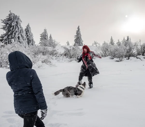 İki kız kardeş, dağlarda karlı bir tarlada Corgi köpeğiyle oynuyorlar. Gençlik, neşe ve tazelik. Yaşamın enerjisi.