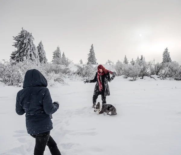 Två Flickor Systrar Leker Med Korv Ett Snöfält Bergen Ungdom — Stockfoto