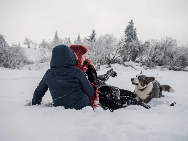 İki kız kardeş, dağlarda karlı bir tarlada Corgi köpeğiyle oynuyorlar. Gençlik, neşe ve tazelik. Yaşamın enerjisi.