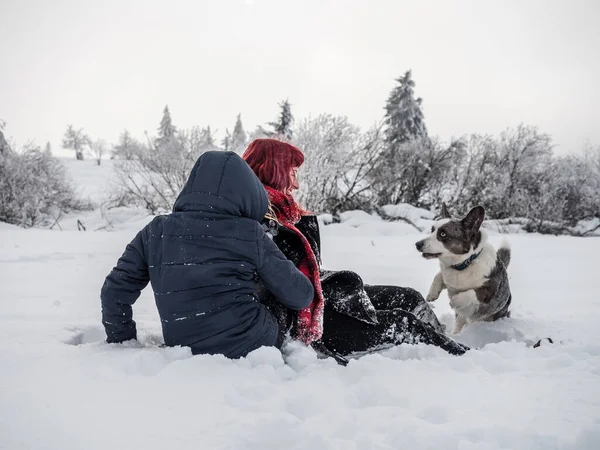 Two Girls Sisters Play Corgi Dog Snowy Field Mountains Youth — Stock Photo, Image