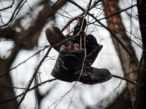 Pair Boots Hangs High Tree Abandoned Old Lonely Boots Forest — Stock Photo, Image