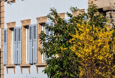 Streets of the old town of Strasbourg. Sunny day, perspective. France