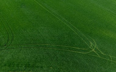 Yeşil çayır ve tarlaların çarpıcı güzelliğinin insansız hava aracı görüntüsü. Strasbourg yakınlarında.