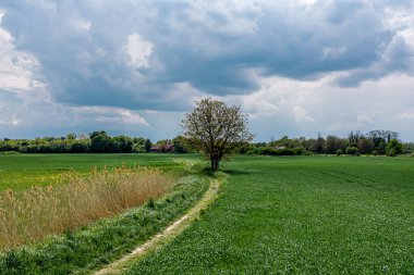 Yeşil çayır ve tarlaların çarpıcı güzelliğinin insansız hava aracı görüntüsü. Strasbourg yakınlarında.