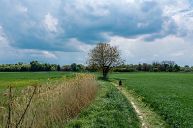 Yeşil çayır ve tarlaların çarpıcı güzelliğinin insansız hava aracı görüntüsü. Strasbourg yakınlarında.