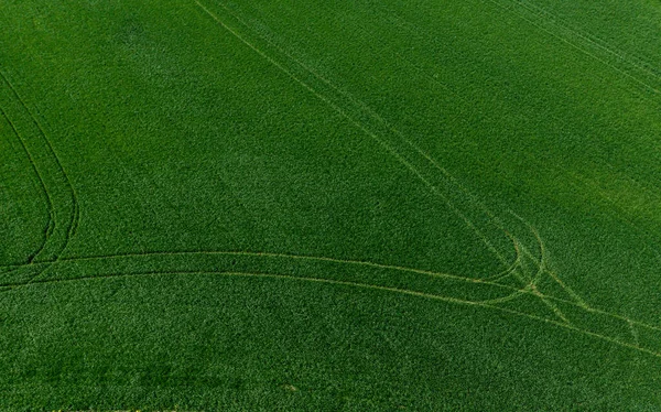 Drone View Stunning Beauty Young Green Meadows Fields Strasbourg — стоковое фото