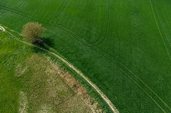 Ein Drohnenblick Auf Die Atemberaubende Schönheit Junger Grüner Wiesen Und — Stockfoto