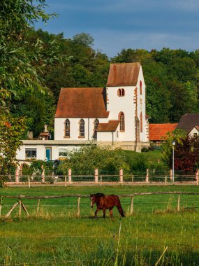 Ortaçağ köy kilisesinin arka planına karşı yeşil çayırdaki bir at. Alsace.