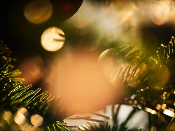 Christmas Tree Balls Beautiful Bokeh Festive Mood New Year — стоковое фото