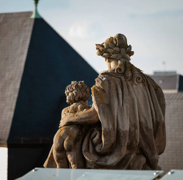 Roofs City Strasbourg Library Building Paul Cathedral View Overlooking Town — 图库照片