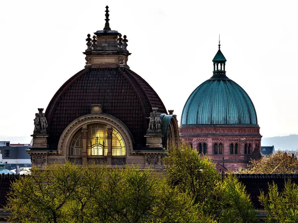 Roofs City Strasbourg Library Building Paul Cathedral View Overlooking Town — Stok fotoğraf