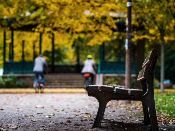 Podzimní Barvy Městě Štrasburk Žluté Červené Oranžové Listy Ginkgo Maple — Stock fotografie