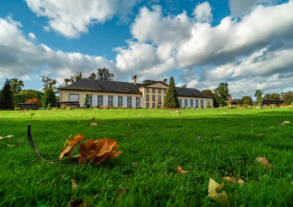 Podzimní Barvy Městě Štrasburk Žluté Červené Oranžové Listy Ginkgo Maple — Stock fotografie