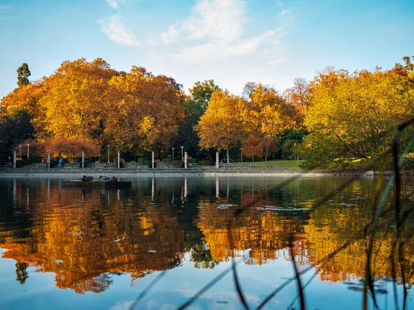 Autumn Colors City Strasbourg Yellow Red Orange Leaves Ginkgo Maple — ストック写真