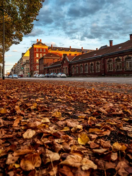 Herfst Kleuren Stad Straatsburg Geel Rood Oranje Bladeren Ginkgo Esdoorn — Stockfoto