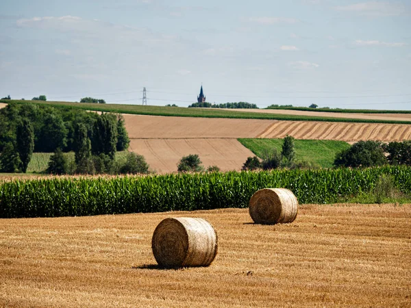 Cylinder Shaped Hay Bales Fields Alsace France — Fotografia de Stock
