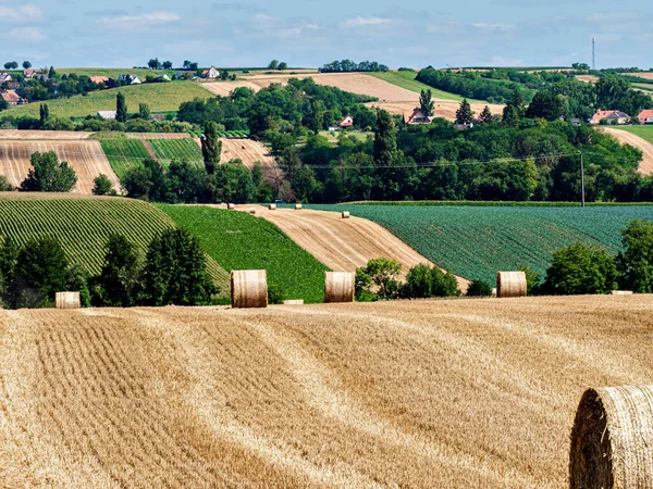Cylinder Shaped Hay Bales Fields Alsace France —  Fotos de Stock