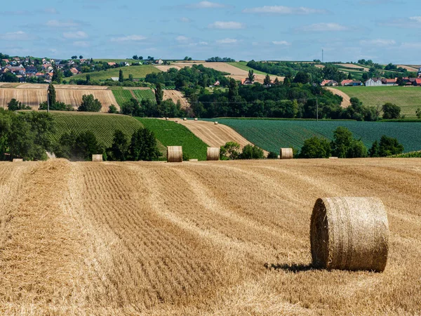 Cylinder Shaped Hay Bales Fields Alsace France —  Fotos de Stock