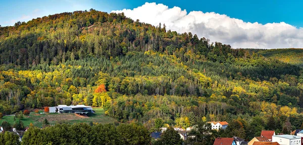Vacker Utsikt Över Hösten Färgglada Vosges Berg Ovanifrån Panorama Landskap — Stockfoto