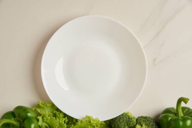 Sebze konsepti. Beyaz arka planda bazı yeşil sebzeler düzenlenmiş..