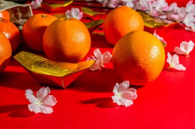 Çin 'in yeni yıl aksesuarları ya da ruh hali festivali portakallar altın ve Angpao' nun cepleri kiraz çiçeği dalları süslemeleri