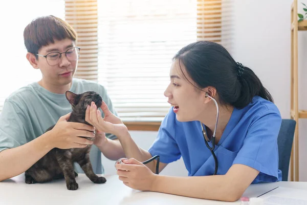 ペットケアの概念 獣医の女性は獣医クリニックで猫の健康をチェックするために聴診器を使用 — ストック写真