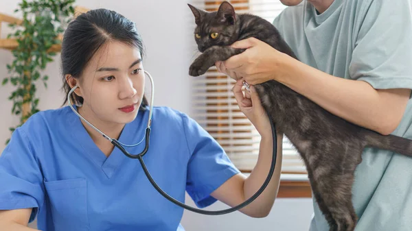 Sällskapsdjur Vård Koncept Kvinna Veterinär Användning Stetoskop För Att Kontrollera — Stockfoto