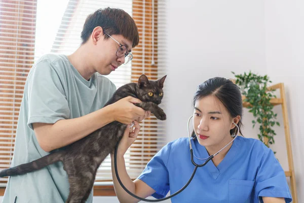 Pet Conceito Cuidados Uso Veterinário Feminino Estetoscópio Para Verificar Respiração — Fotografia de Stock