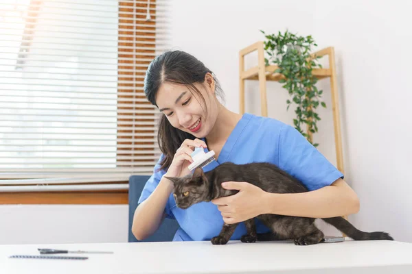 ペットサロンのコンセプト 女性獣医師はサロンで猫の毛を磨くために毛ブラシを組み合わせて使用します — ストック写真