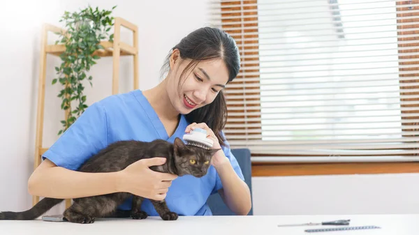 Pet Salong Koncept Kvinna Veterinär Använda Kamning Hårborste För Att — Stockfoto