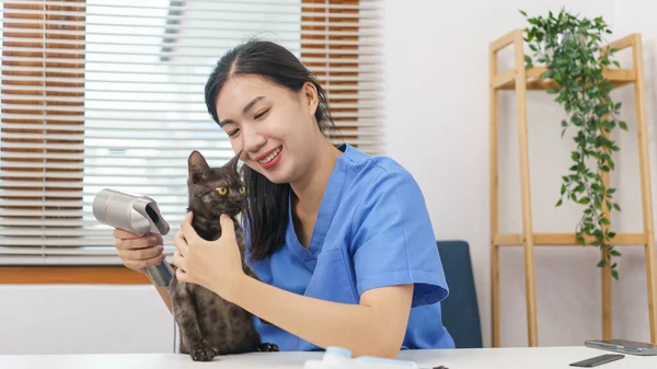 Sällskapsdjur Salong Koncept Kvinna Veterinär Med Hårtork Katten Salongen — Stockfoto