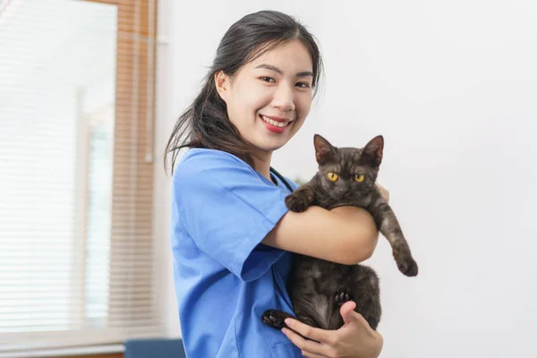 Pet Conceito Cuidados Fêmea Veterinária Jogando Abraçando Gato Bonito Depois — Fotografia de Stock