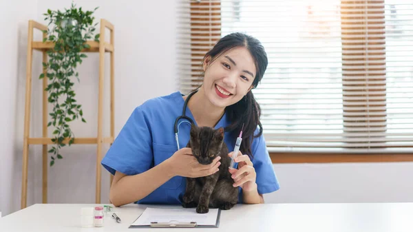 Pet Conceito Cuidados Veterinário Feminino Preparar Vacinas Para Injetar Gato — Fotografia de Stock