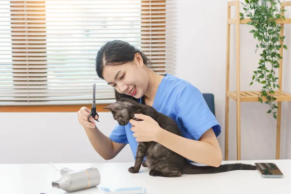ペットサロンのコンセプト サロン内の猫の毛皮をトリミングするためにはさみを使用して女性獣医師 — ストック写真