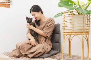 Evcil hayvan sevdalısı kavramı, genç Asyalı kadın oturma odasında kediyle oynamak için koltukta oturuyor..