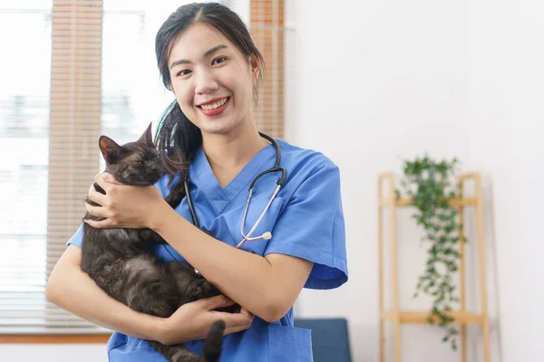 Pet care concept, Female veterinary playing and hugging cute cat after examining health cat.